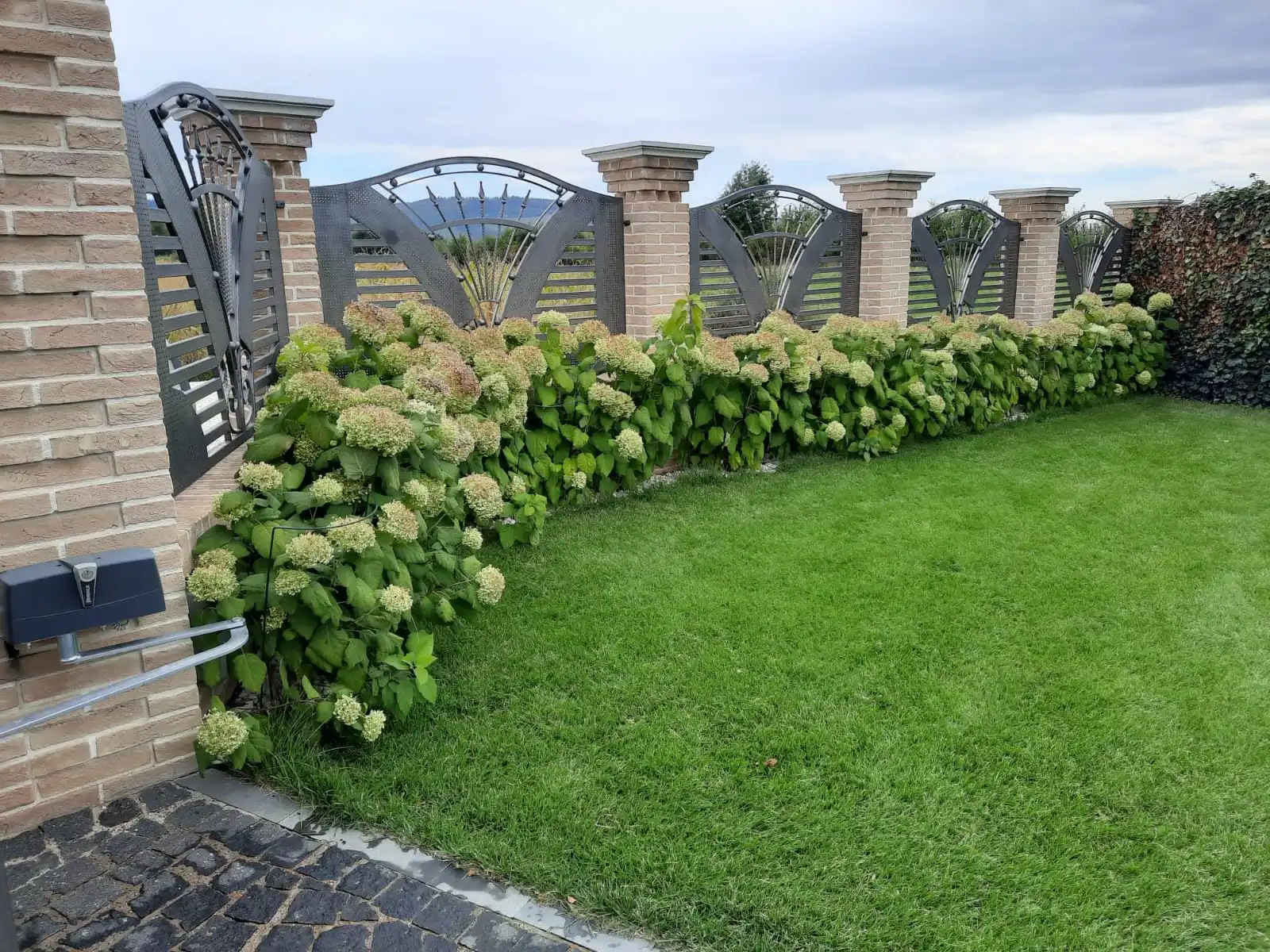 Intretinere fitosanitara plante ornamentale de exterior in Suceava si imprejurimi
